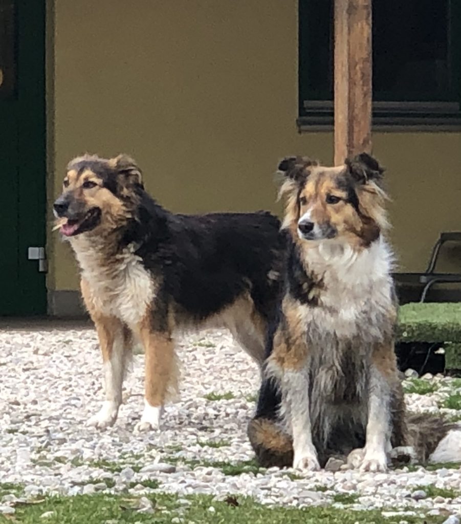 Sie sucht ihn 83233