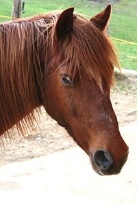 Sie sucht ihn 83233