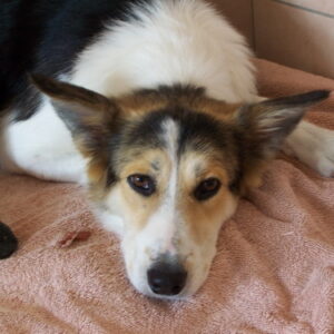 Sie sucht ihn 83233